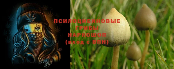 ALPHA PVP Гусь-Хрустальный