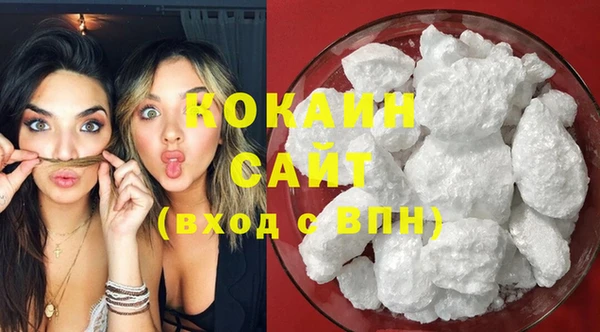 трава Гусиноозёрск