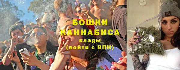 трава Гусиноозёрск