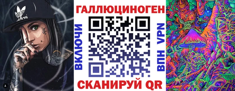 гидра как войти  Дубовка  Псилоцибиновые грибы MAGIC MUSHROOMS  закладка 